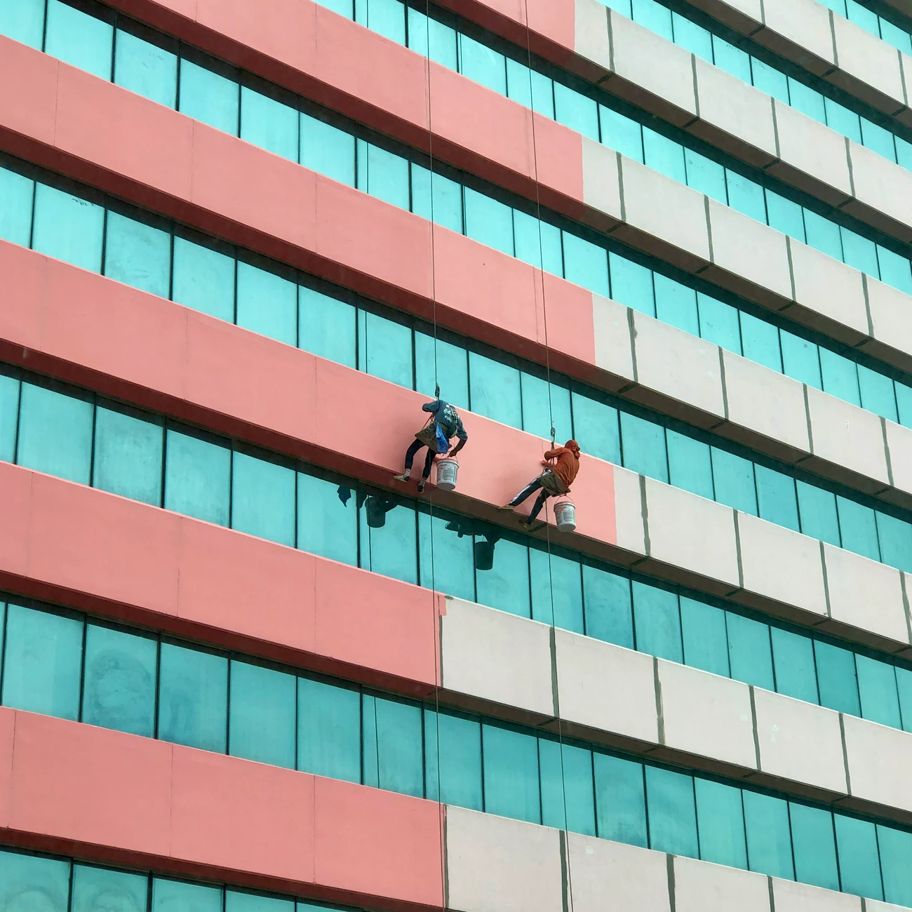regular cleaning tasks